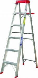 Social rank is like climbing a ladder
